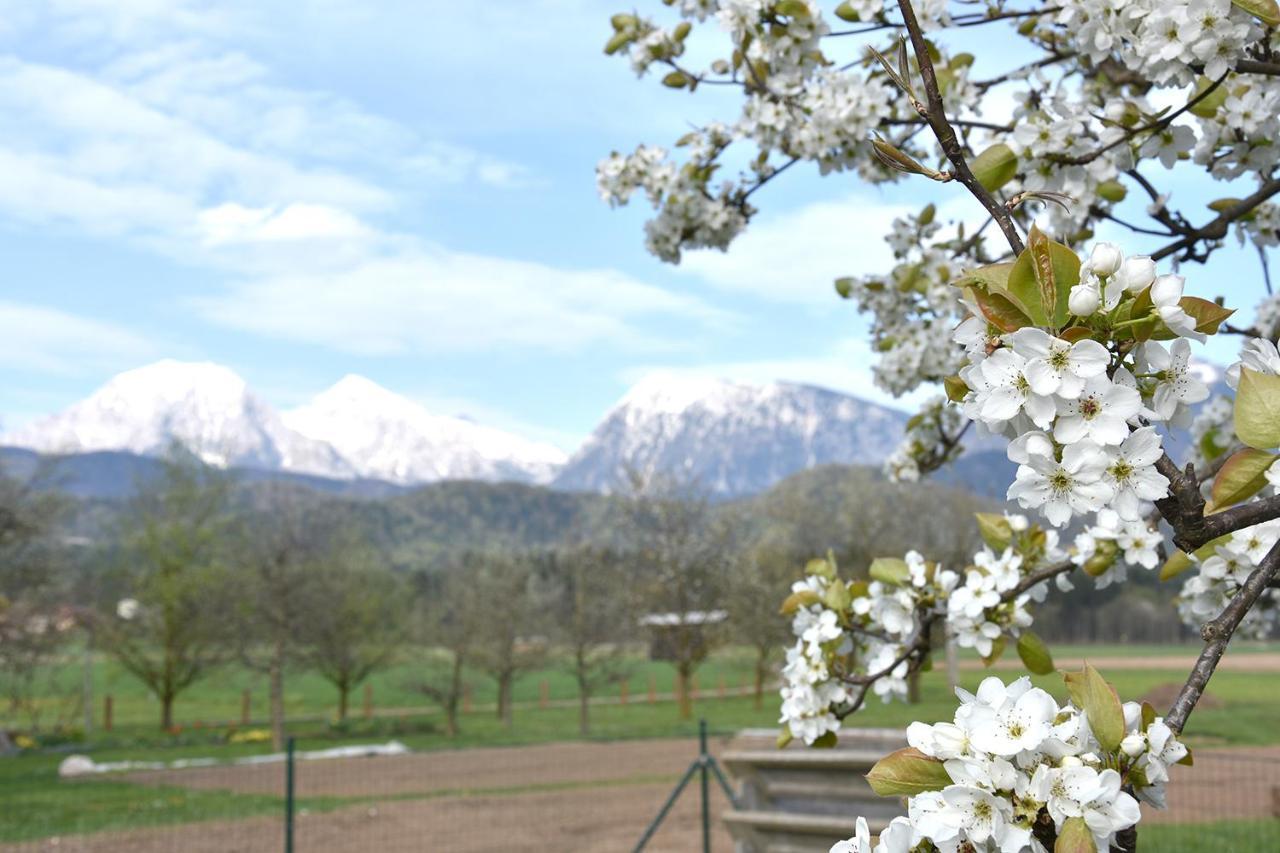 Lesnavesna Designer Apartment With A Garden Visoko  Bagian luar foto